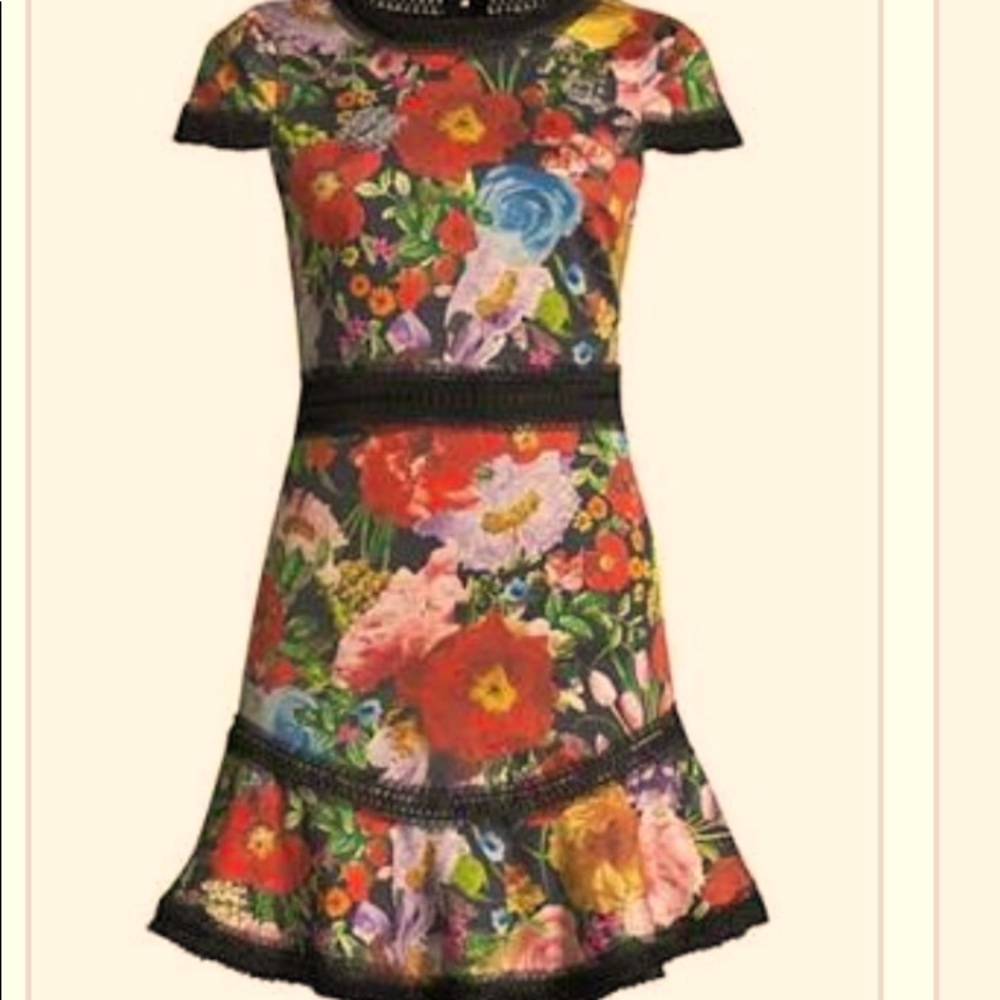 Alice + Olivia repunzel dress. Sold out size 0